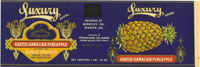 LUXURY GRATED HAWAIIAN PINEAPPLE 1lb 14oz