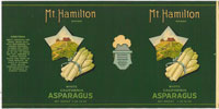 MT. HAMILTON WHITE ASPARAGUS