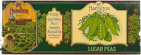 MT. HAMILTON SUGAR PEAS