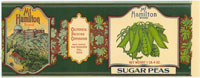 MT. HAMILTON SUGAR PEAS 1lb 4oz