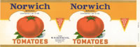 NORWICH TOMATOES