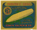 PERFECT GEM SUGAR CORN