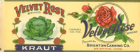 VELVET ROSE KRAUT