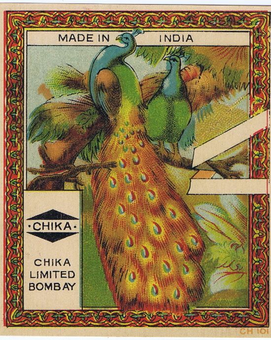 Chika Limited PEACOCK