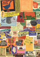 POSTER STEAM, SEAL AND CINDERELLAS