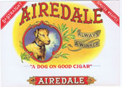 AIREDALE