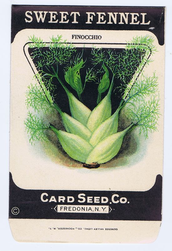 Card Seed Co. Sweet Fennel
