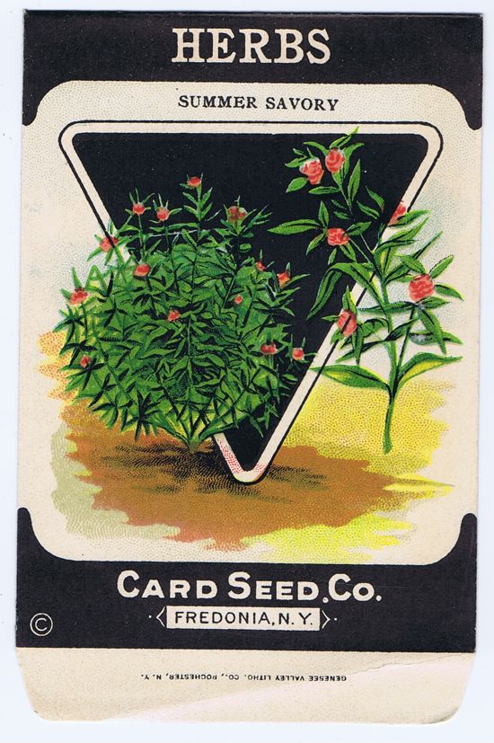 Card Seed Co. Herbs