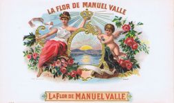 LA FLORE DE MANUEL VALLE 