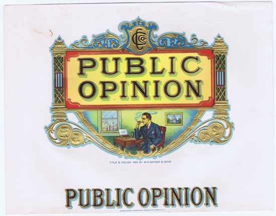 PUBLIC OPINION