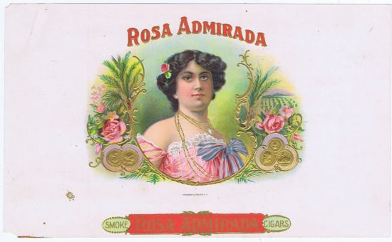 ROSA ADMIRADA