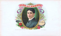 FLOR DE LAMBROS