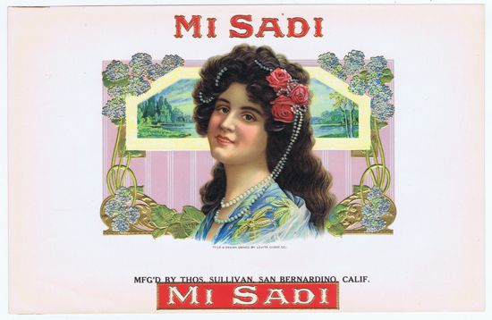 MI SADI