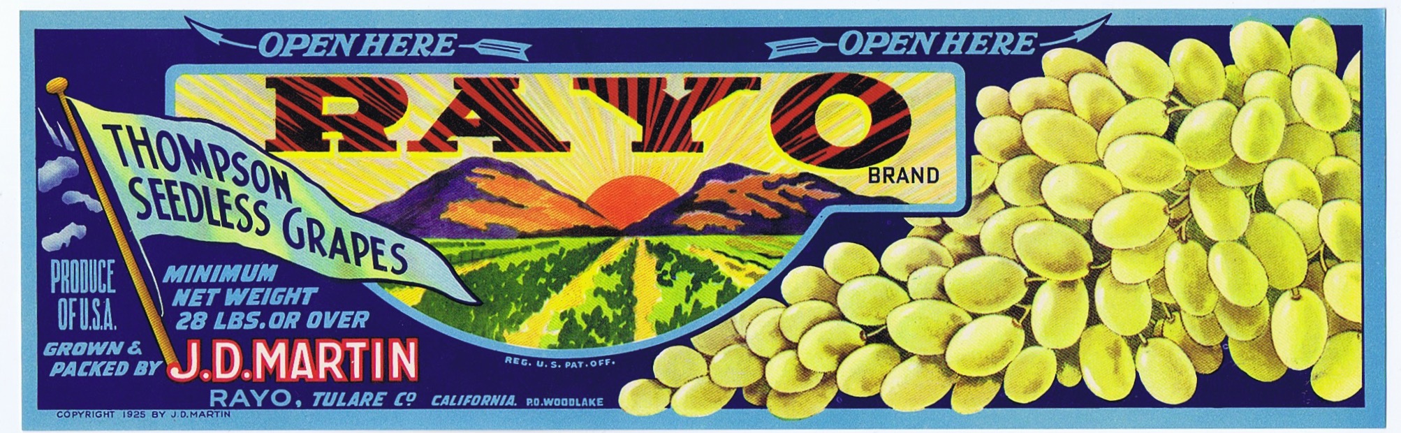 RAYO THOMPSON SEEDLESS GRAPES